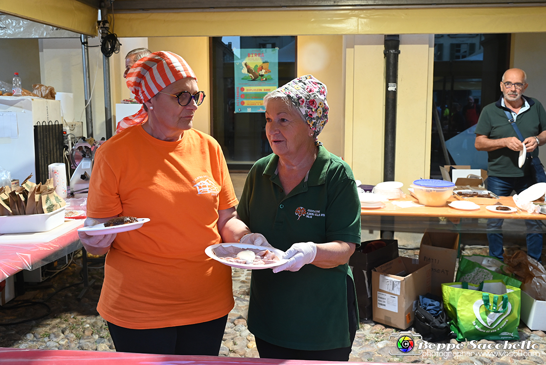 VBS_4228 - Sipario - Arvedsestate 2022.jpg